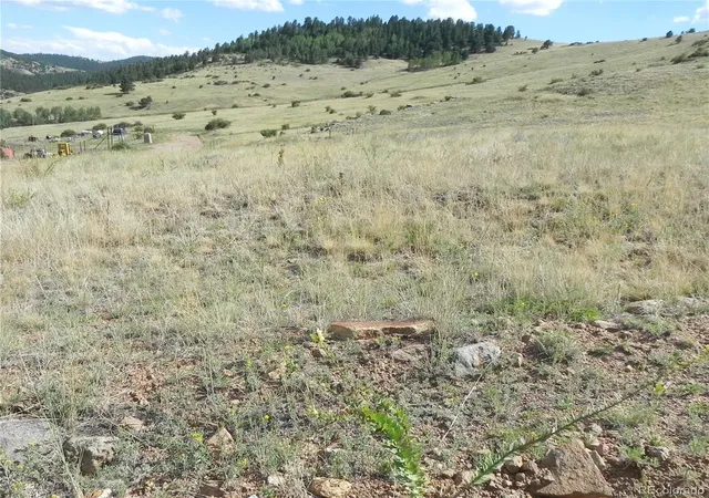 1st image of Lot 1 2 Colorado Ave, Cripple Creek, CO 80813 | MLS# 4958567