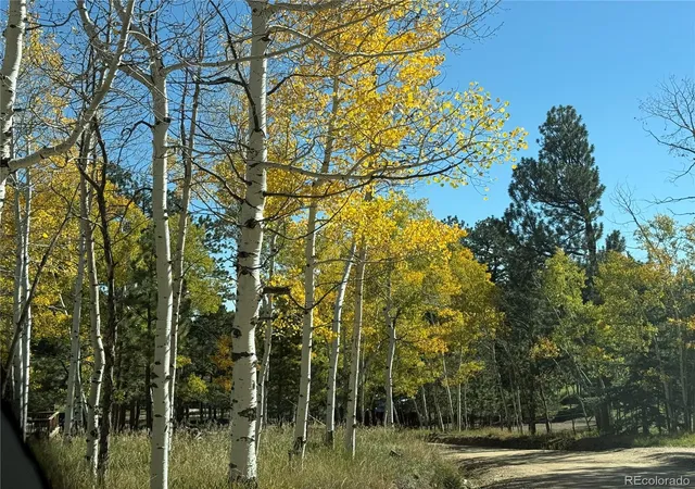 Photo 3 of Single family home for sale at 46 Bay Ln, Bailey, CO 80421 | MLS# 2324882 | Listing updated on 2026-10-08