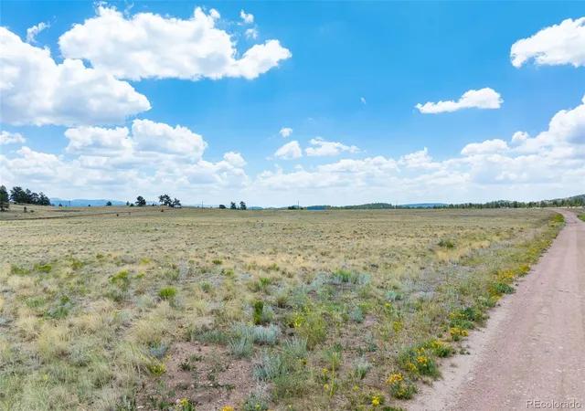 Land for sale at 74 Wrights Ln, Guffey, CO 80820 | MLS# 8598046