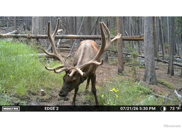 1st image of 0 Twin Spruce Rd, Golden, CO 80403 | MLS# IR1064892