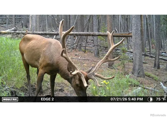 20th image of 0 Twin Spruce Rd, Golden, CO 80403 | MLS# IR1064892