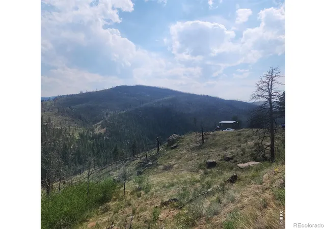 49th image of 693 Cougar Dr, Bellvue, CO 80512 | MLS# IR1064911
