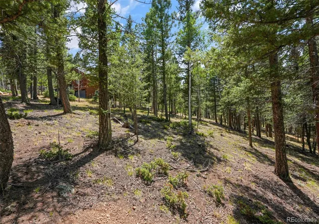 50th image of 145 Grizzley Peak Rd, Florissant, CO 80816 | MLS# 2556698