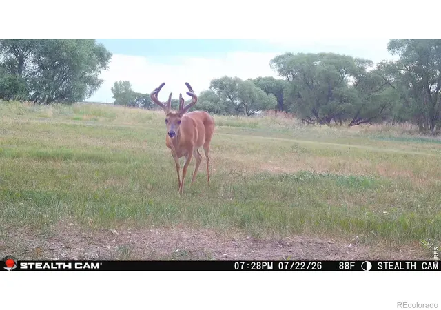 2nd image of 0 County Road 388, Kersey, CO 80644 | MLS# IR1064936