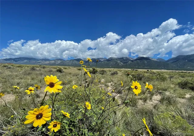 Photo 4 of Land for sale at 448 Heatherbrae Rd, Crestone, CO 81131 | MLS# 1728161 | Listing updated on 2026-07-28