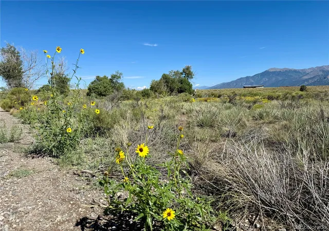 Photo 5 of Land for sale at 448 Heatherbrae Rd, Crestone, CO 81131 | MLS# 1728161 | Listing updated on 2026-07-28