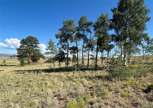 Photo 4 of Land for sale at 443 Saddle Horn Rd, Hartsel, CO 80449 | MLS# 9374830 | Listing updated on 2026-07-24
