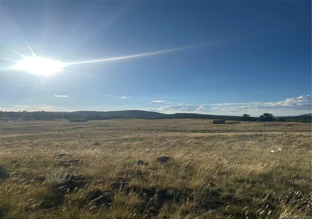 1st image of 290 Castle Mountain Dr, Florissant, CO 80816 | MLS# 1637277