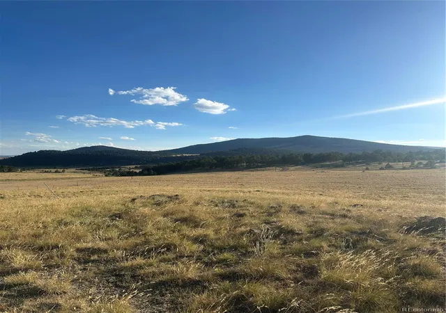 2nd image of 290 Castle Mountain Dr, Florissant, CO 80816 | MLS# 1637277