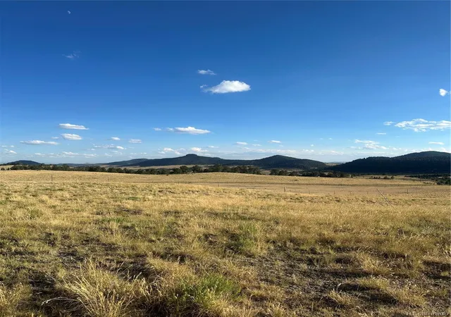 3rd image of 290 Castle Mountain Dr, Florissant, CO 80816 | MLS# 1637277