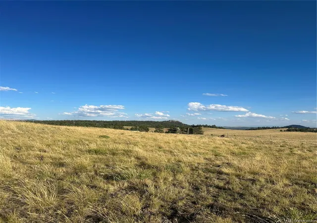 4th image of 290 Castle Mountain Dr, Florissant, CO 80816 | MLS# 1637277