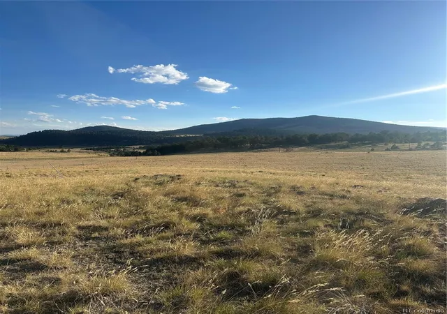 5th image of 290 Castle Mountain Dr, Florissant, CO 80816 | MLS# 1637277