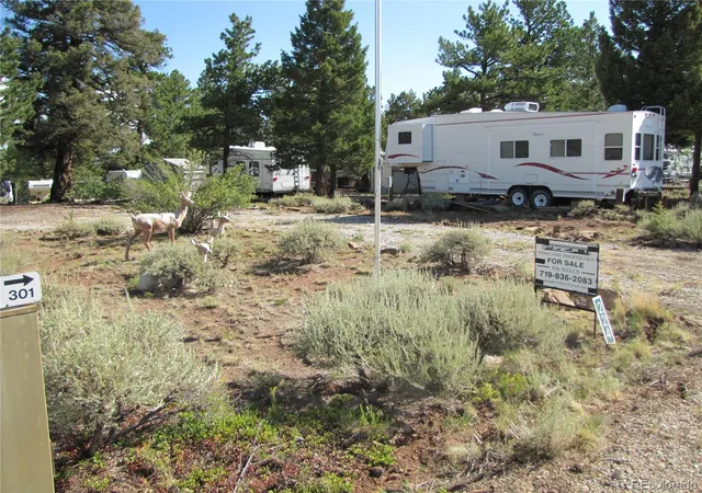 Photo 12 of Land for sale at 224 Lantern Loop, Hartsel, CO 80449 | MLS# 1534844 | Listing updated on 2026-07-25