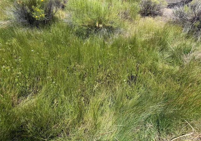 Photo 4 of Land for sale at 00 County Rd S 6, Alamosa, CO 81101 | MLS# 6567139 | Listing updated on 2026-08-06