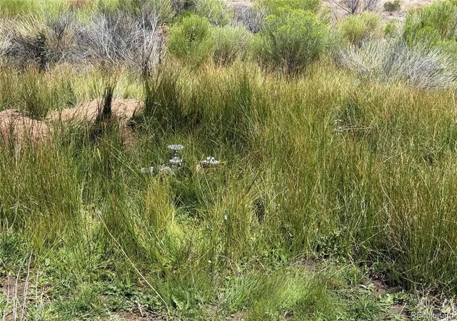 Photo 5 of Land for sale at 00 County Rd S 6, Alamosa, CO 81101 | MLS# 6567139 | Listing updated on 2026-08-06