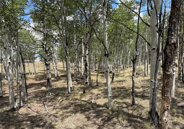 Photo 1 of Land for sale at 832 Ahlers Ln, Hartsel, CO 80449 | MLS# 3268367 | Listing updated on 2026-07-25