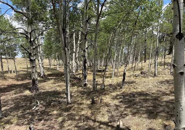 Photo 3 of Land for sale at 832 Ahlers Ln, Hartsel, CO 80449 | MLS# 3268367 | Listing updated on 2026-07-25
