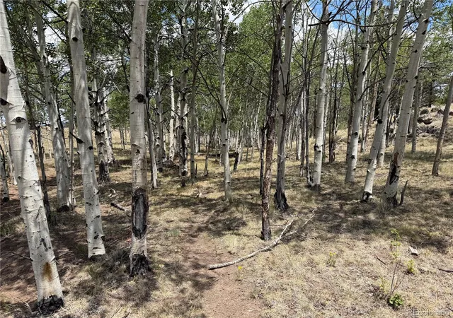 Photo 4 of Land for sale at 832 Ahlers Ln, Hartsel, CO 80449 | MLS# 3268367 | Listing updated on 2026-07-25