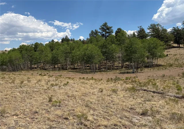 Photo 5 of Land for sale at 832 Ahlers Ln, Hartsel, CO 80449 | MLS# 3268367 | Listing updated on 2026-07-25