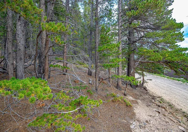Photo 1 of Land for sale at Lot 836 Nebraska Dr, Idaho Springs, CO 80452 | MLS# 6838269 | Listing updated on 2026-10-25