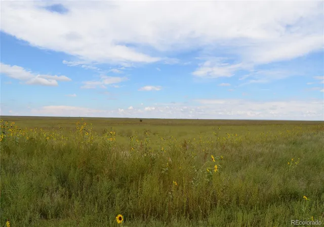 1st image of Parcel 7 County Rd V, Rush, CO 80833 | MLS# 8482678