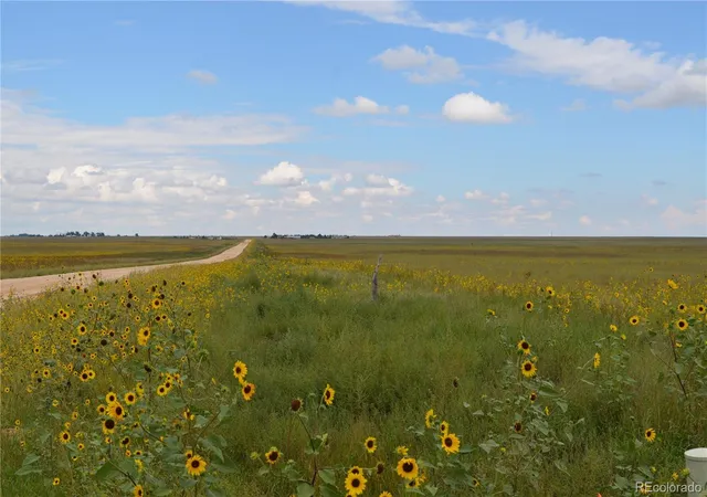 2nd image of Parcel 7 County Rd V, Rush, CO 80833 | MLS# 8482678