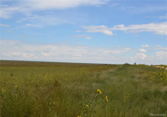 3rd image of Parcel 7 County Rd V, Rush, CO 80833 | MLS# 8482678