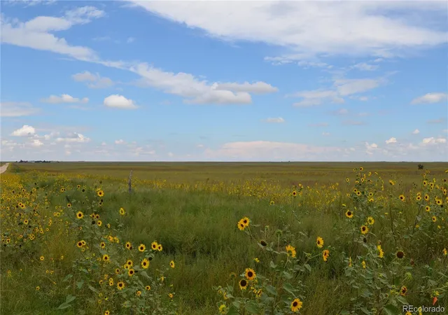 4th image of Parcel 7 County Rd V, Rush, CO 80833 | MLS# 8482678