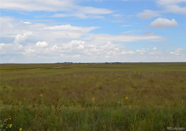 5th image of Parcel 7 County Rd V, Rush, CO 80833 | MLS# 8482678