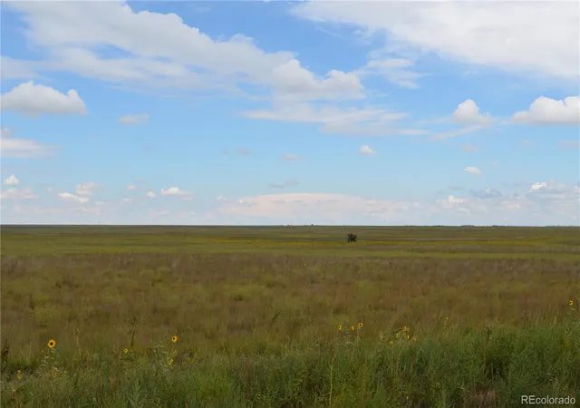 7th image of Parcel 7 County Rd V, Rush, CO 80833 | MLS# 8482678