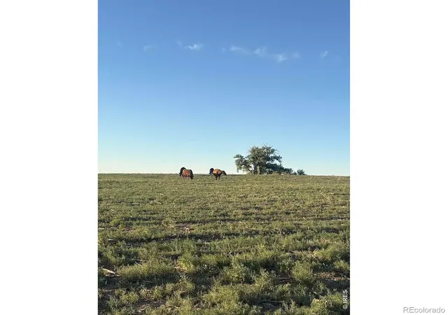 4th image of 0 County Road 35 #B, Platteville, CO 80651 | MLS# IR1065099