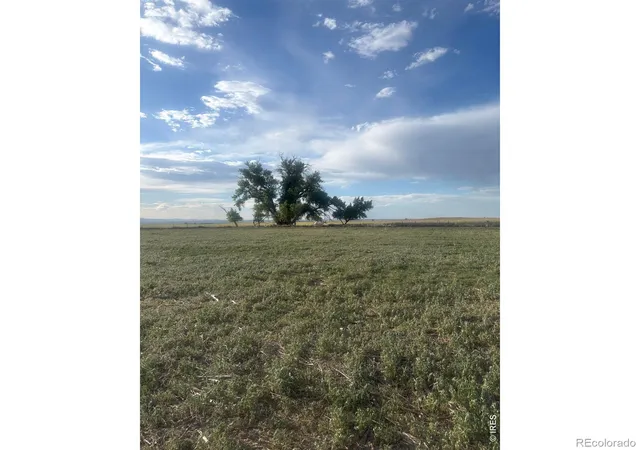 2nd image of 0 County Road 35 #A, Platteville, CO 80651 | MLS# IR1065100