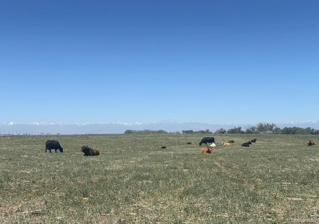 5th image of 0 County Road 35 #A, Platteville, CO 80651 | MLS# IR1065100
