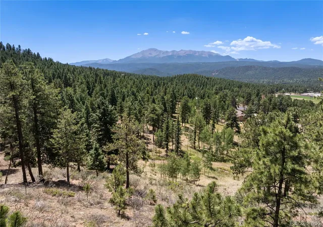 41st image of 1150 Forest Hill Pl, Woodland Park, CO 80863 | MLS# 7667282