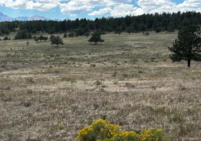 Photo 3 of Land for sale at 525 County Rd 321, Westcliffe, CO 81252 | MLS# 3606964 | Listing updated on 2026-07-26