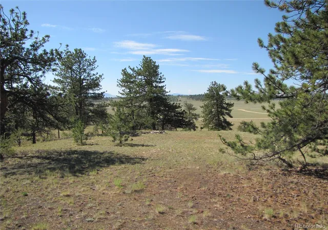 Photo 3 of Land for sale at 984 Arapahoe Trl, Hartsel, CO 80449 | MLS# 5450675 | Listing updated on 2026-07-27