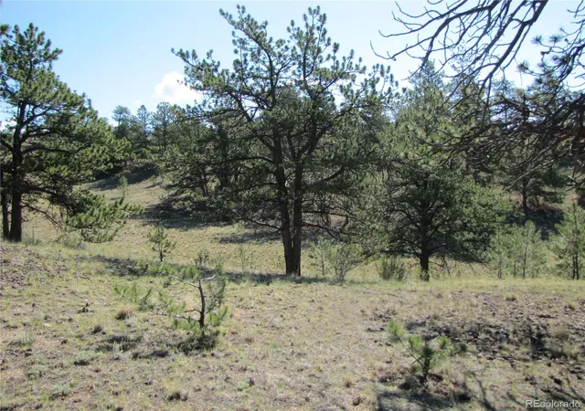 Photo 5 of Land for sale at 984 Arapahoe Trl, Hartsel, CO 80449 | MLS# 5450675 | Listing updated on 2026-07-27