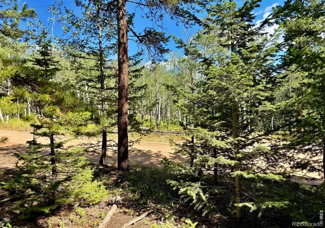 Photo 2 of Land for sale at 312 Ridge Rd, Ward, CO 80481 | MLS# IR1065132 | Listing updated on 2026-07-28