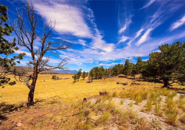 Photo 3 of Land for sale at 2113 Packer Pl, Fort Garland, CO 81133 | MLS# 4326587 | Listing updated on 2026-08-12