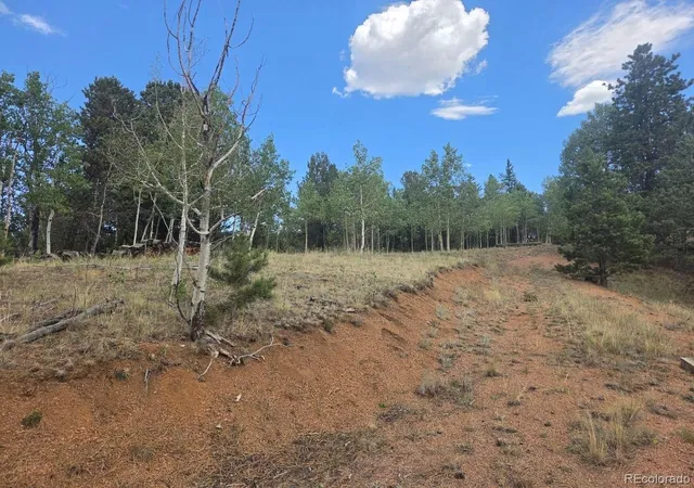 3rd image of 1124 Yorktown Rd, Cripple Creek, CO 80813 | MLS# 2501181