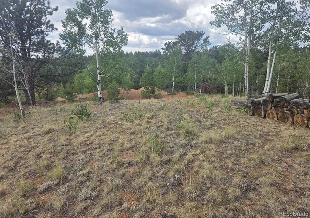 4th image of 1124 Yorktown Rd, Cripple Creek, CO 80813 | MLS# 2501181
