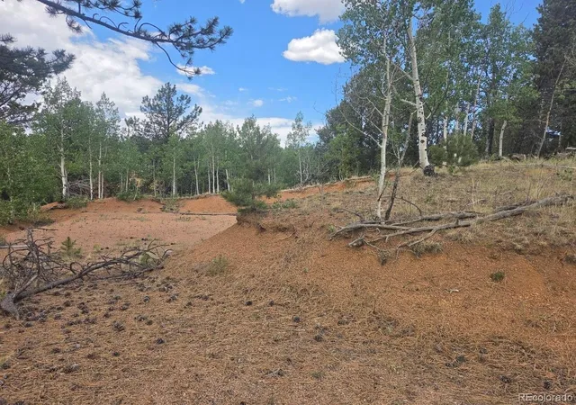 5th image of 1124 Yorktown Rd, Cripple Creek, CO 80813 | MLS# 2501181