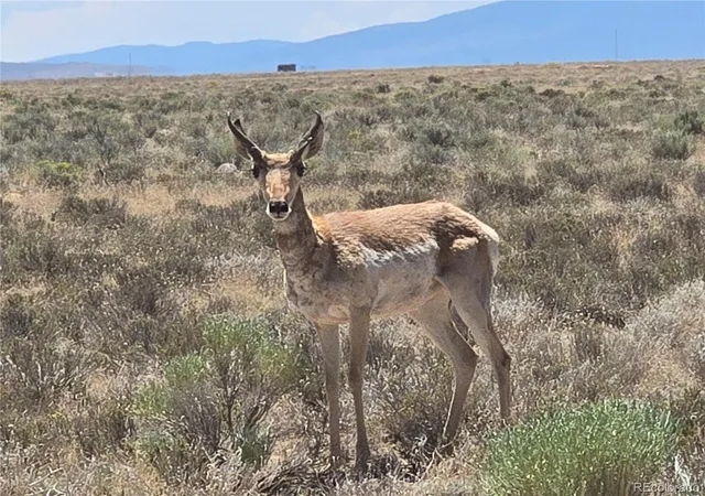 Photo 3 of Land for sale at Lot 20 Gallup Trl, San Luis, CO 81152 | MLS# 3283159 | Listing updated on 2026-07-29