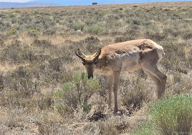 Photo 4 of Land for sale at Lot 20 Gallup Trl, San Luis, CO 81152 | MLS# 3283159 | Listing updated on 2026-07-29