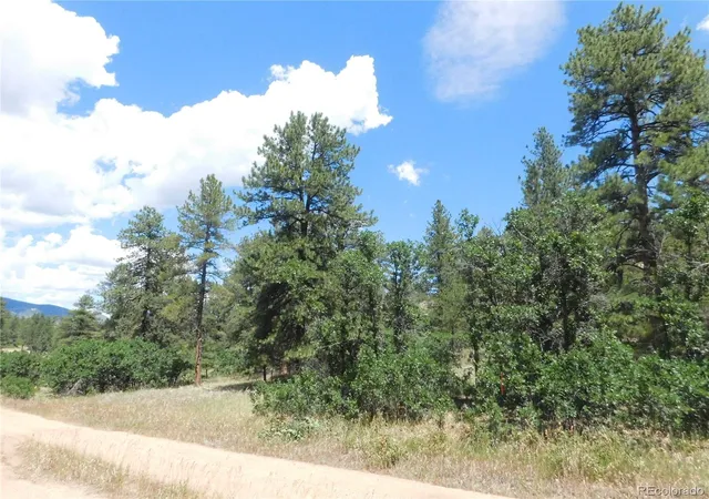 3rd image of 4977 Mohawk Dr, Larkspur, CO 80118 | MLS# 3034305