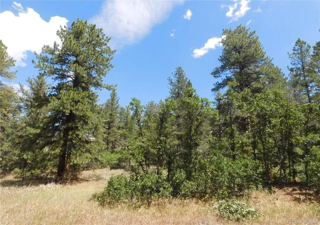5th image of 4977 Mohawk Dr, Larkspur, CO 80118 | MLS# 3034305