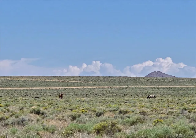 Photo 9 of Land for sale at Lot 21 Mike Rd, San Luis, CO 81152 | MLS# 7504918 | Listing updated on 2026-07-28