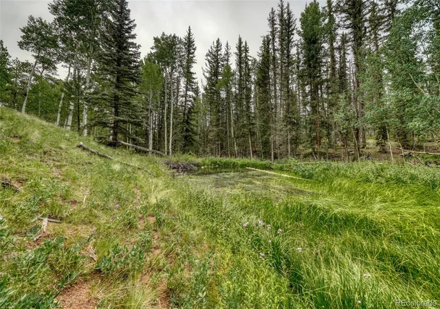 49th image of 5544 County Road 5 Road, Divide, CO 80814 | MLS# 2974682