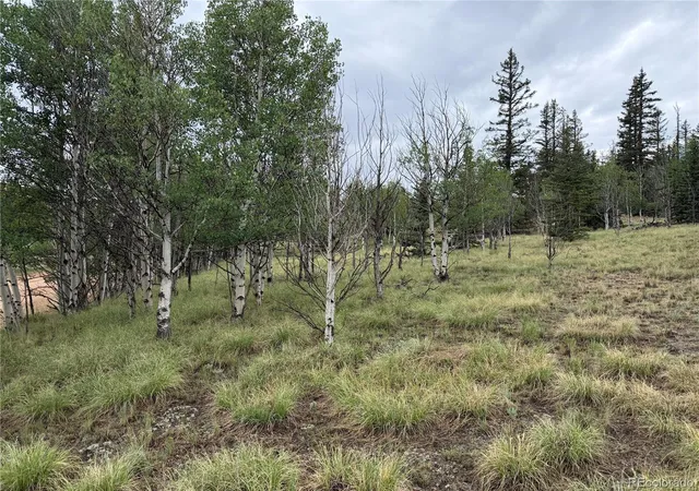 Photo 2 of Land for sale at 383 Spearpoint Rd, Como, CO 80432 | MLS# 9138482 | Listing updated on 2026-07-30