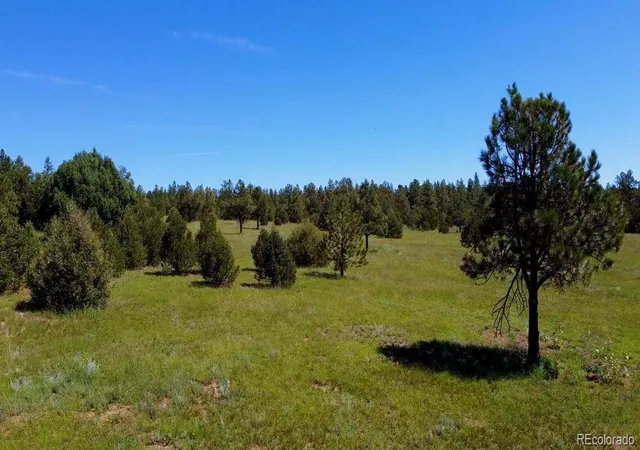 3rd image of 21270 Spirit Mountain Dr, Aguilar, CO 81020 | MLS# 2951673